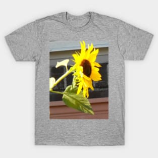 Always seek the Sun! T-Shirt